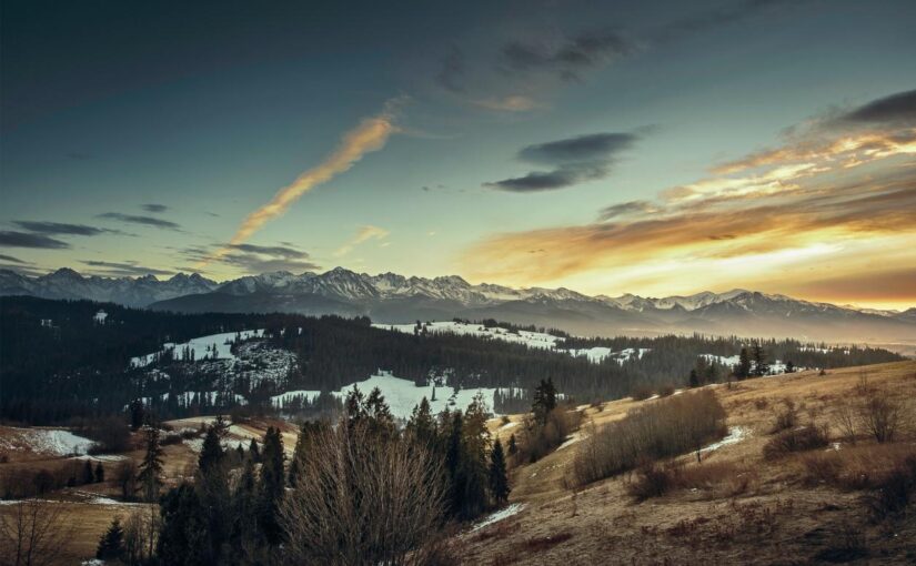 Quia assumenda sunt repellendus voluptas dolores