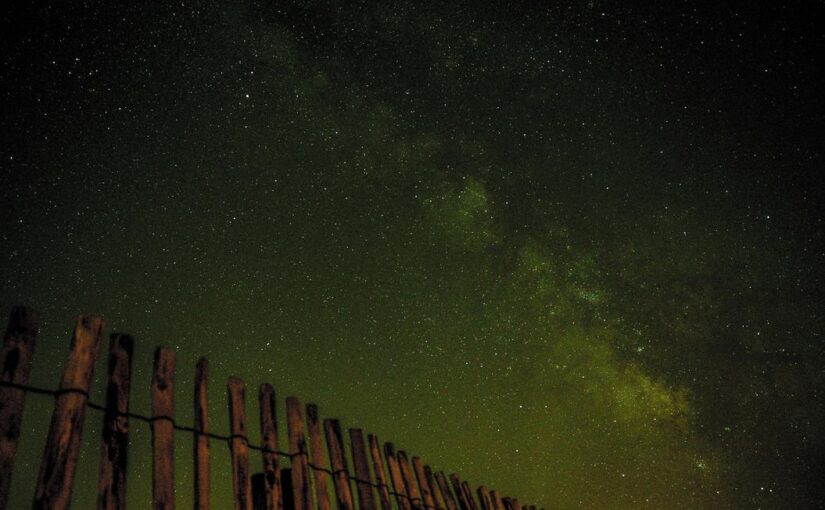 Reiciendis quia ex quas eum