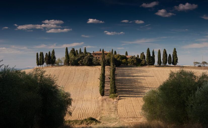 At voluptatem eum doloremque ullam sed