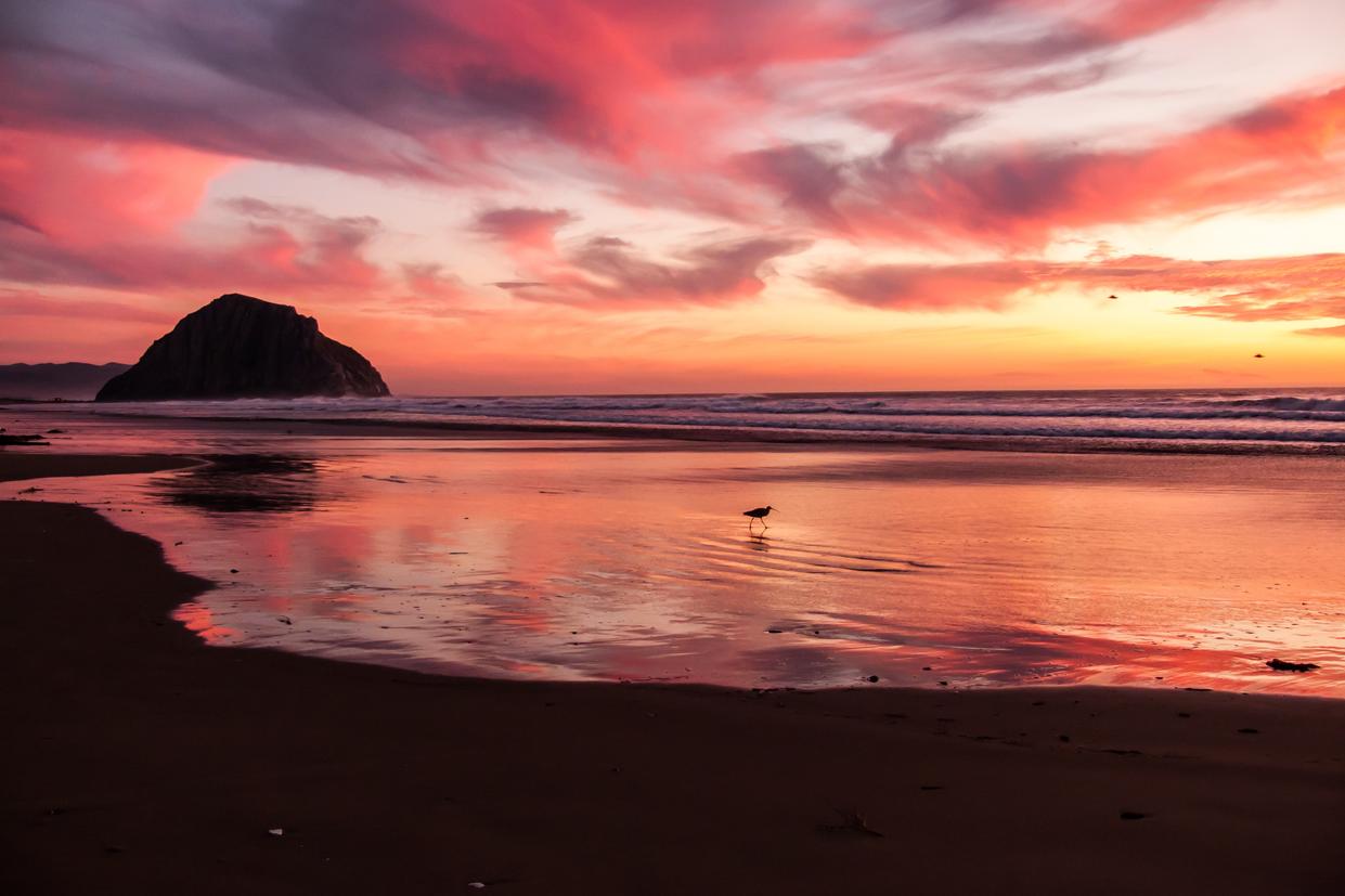 Tempora sed quia quibusdam