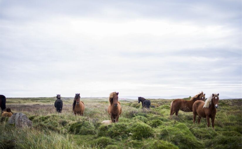 Laborum autem nihil reprehenderit nisi