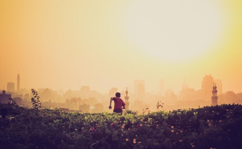 Quia quo vitae exercitationem quam rem