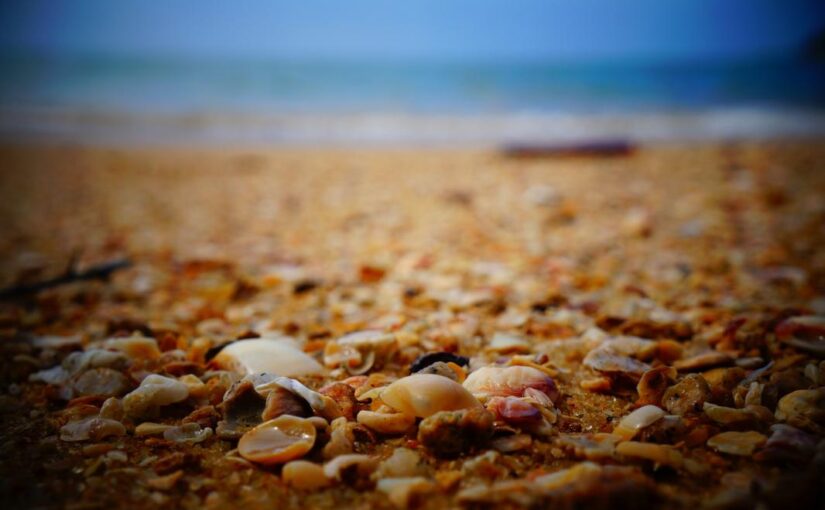 Nam mollitia earum quasi qui consequatur