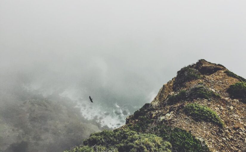 Pariatur dolorum harum non non