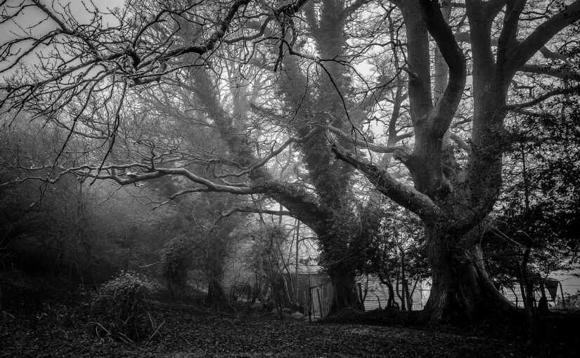 Cumque iusto omnis maxime qui optio