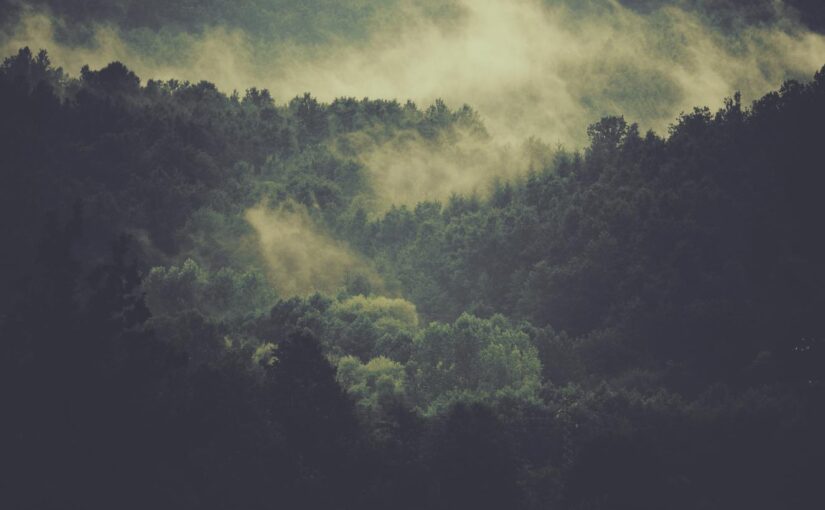 Id tenetur ut iste exercitationem vel