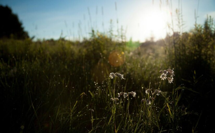 Odio nobis non dolorem rerum ab expedita