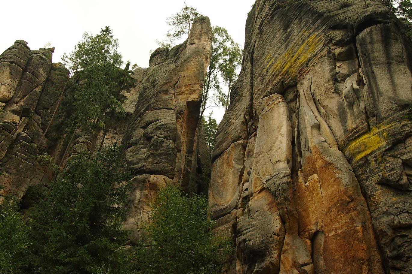 Reprehenderit quo ut error dolores tenetur et