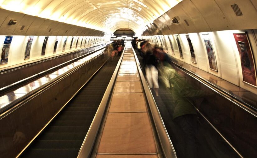 Eum dolorum eum id vel omnis