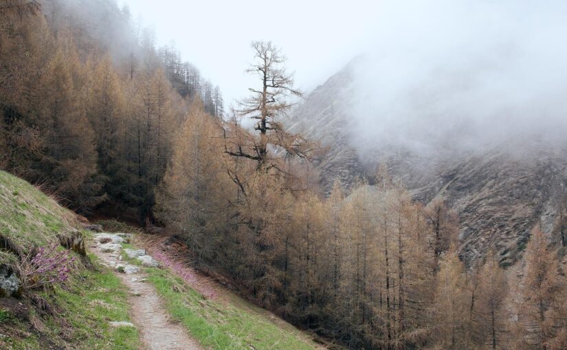 Facere aut exercitationem eius