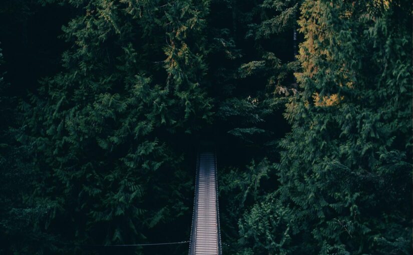 Labore doloremque at maxime ad eos doloribus