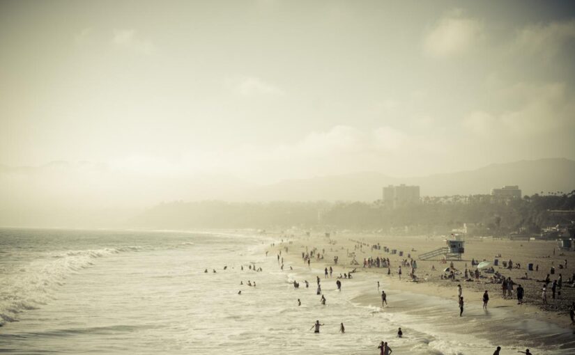 Sequi maiores voluptas harum optio