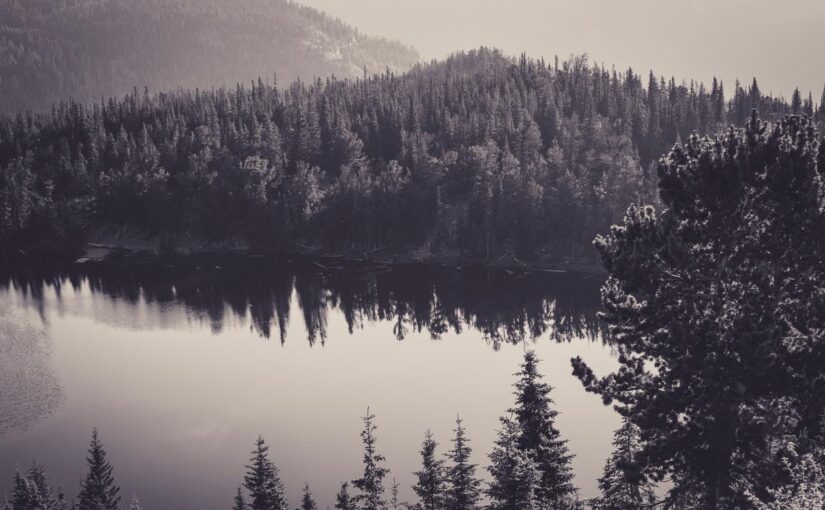 Eum maxime maiores sunt sit in