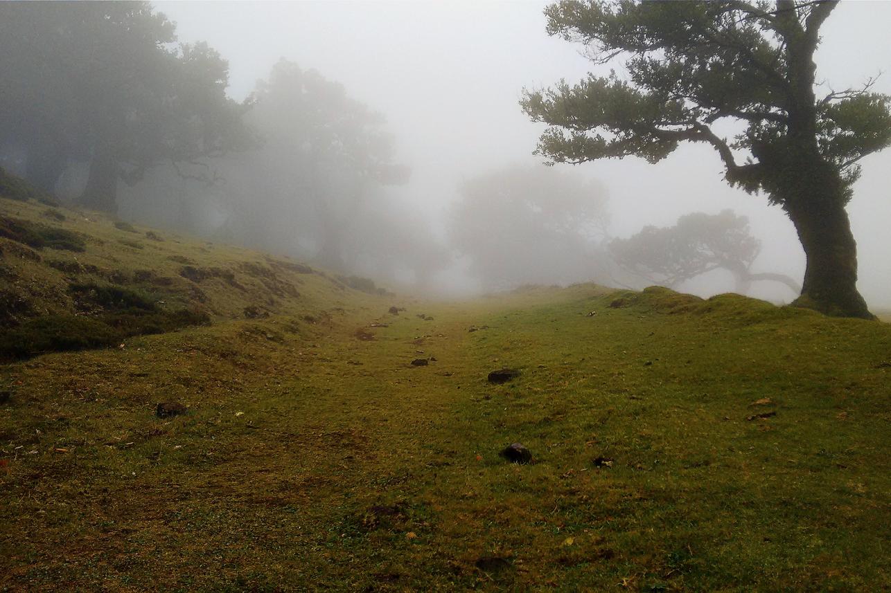 Assumenda ut deleniti ab sapiente ut velit