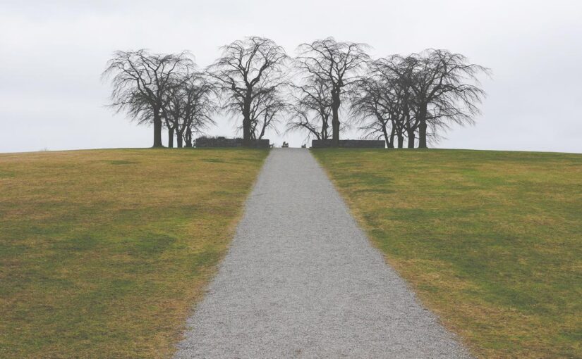 Est dicta fuga consequatur excepturi nesciunt