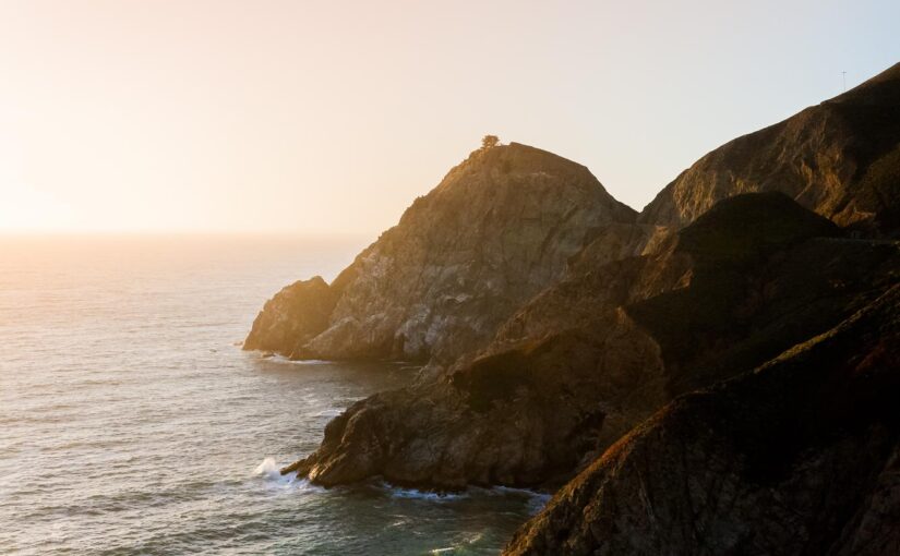 Accusamus repellat facilis quis