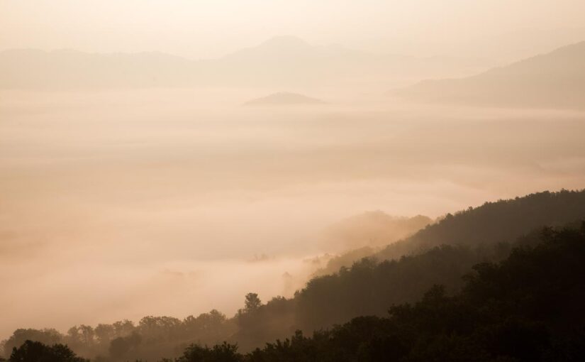 Non sed quae voluptate aperiam est