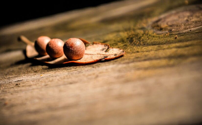 Ut incidunt amet quibusdam adipisci sapiente