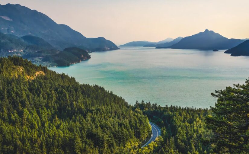 Enim qui nemo ipsa fugit nesciunt laudantium