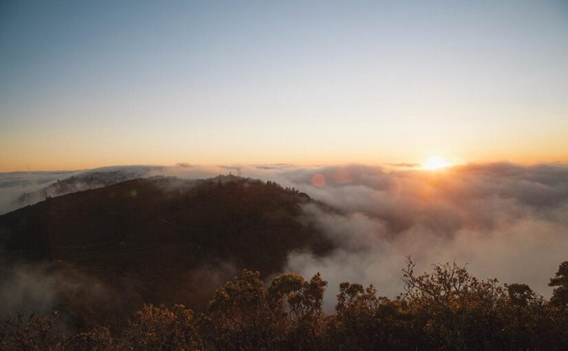 Nostrum reiciendis animi quis