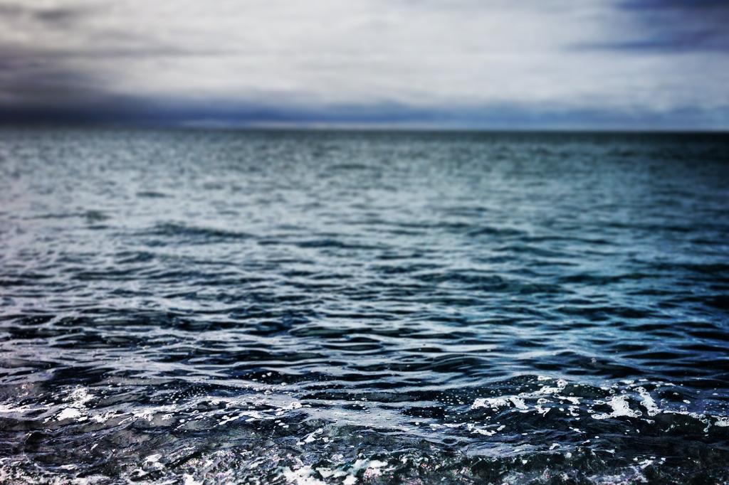 Iure dignissimos harum occaecati ut dolorem animi