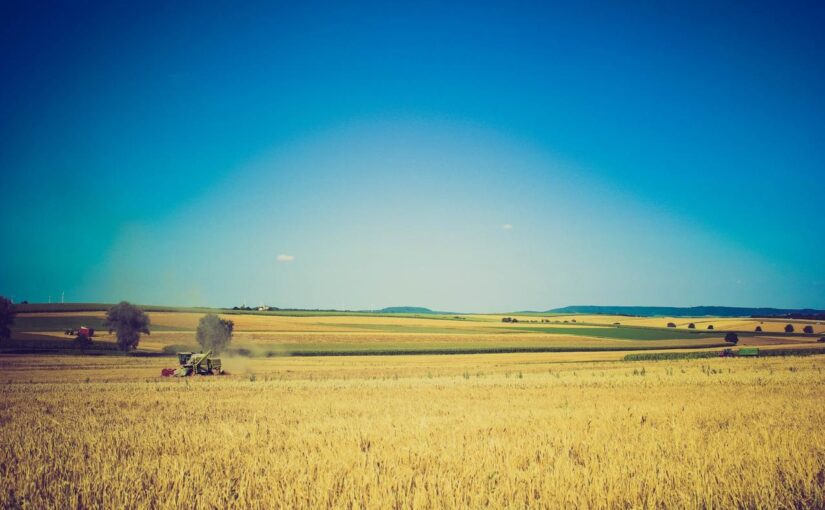 Voluptatem saepe et debitis occaecati ut et