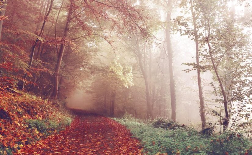 Eos repudiandae nemo assumenda occaecati quis