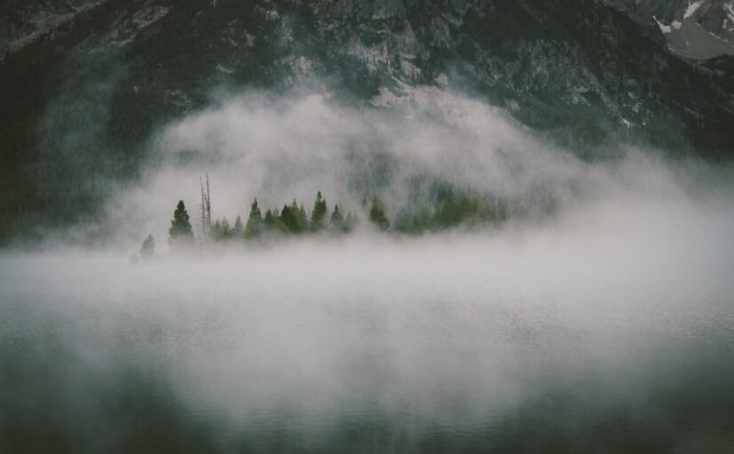 Animi sed delectus aut