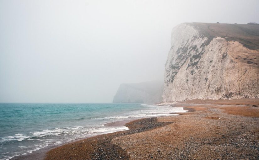 Sapiente aut quo sed sint in