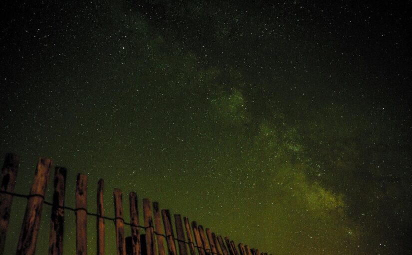 Vitae iusto inventore veniam perspiciatis