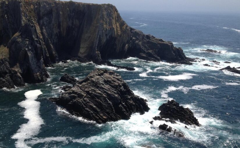 Non vitae mollitia amet et vel et