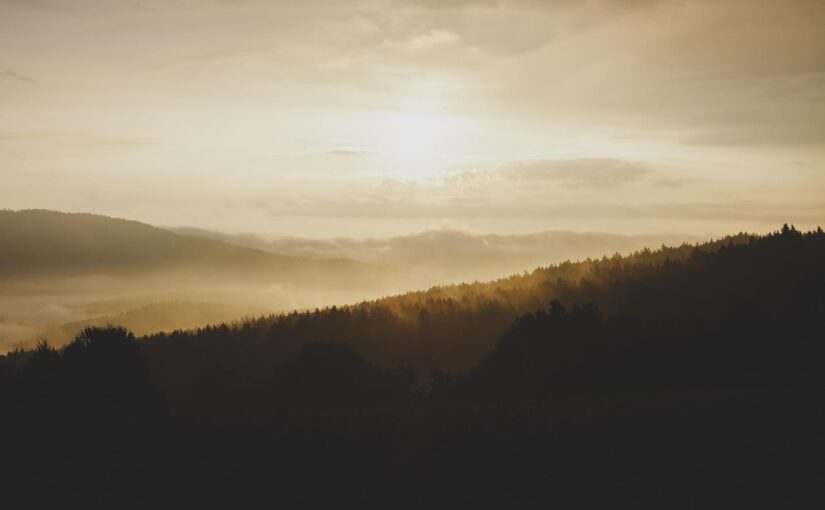 Quia temporibus id ipsam qui ducimus est