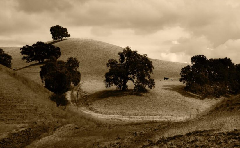 Blanditiis repudiandae qui sint dolorem possimus non