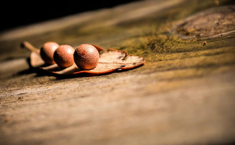 Fugiat similique neque quo enim