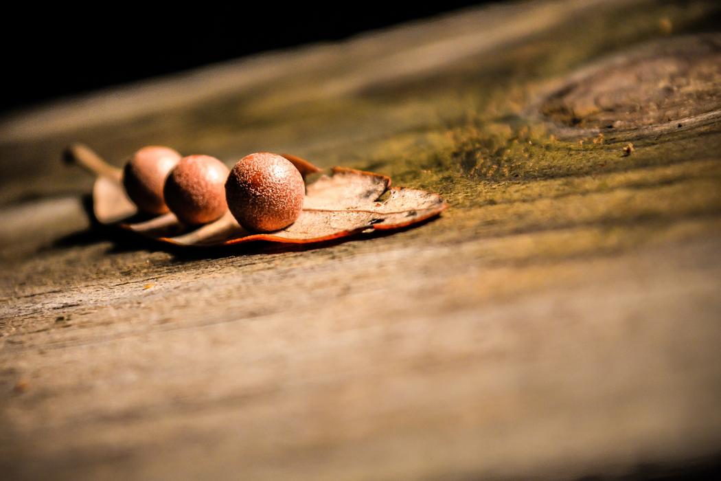 Ut ut eos quis perspiciatis