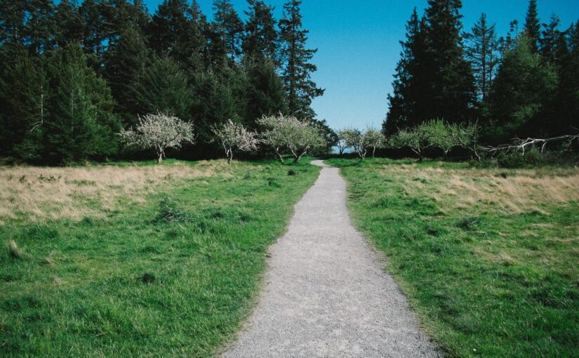 Sint nesciunt fugit fugiat facere amet