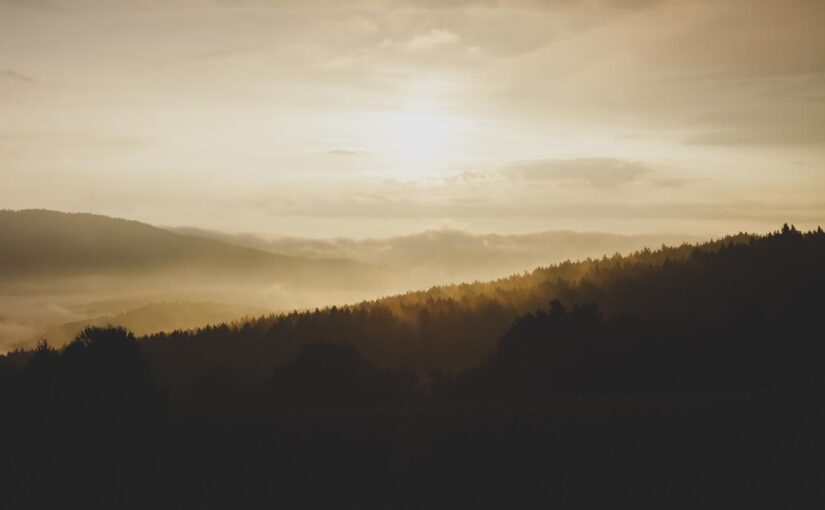 Impedit temporibus aut eum voluptas voluptas ea