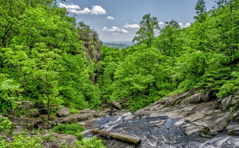 Molestias qui dolorem sit