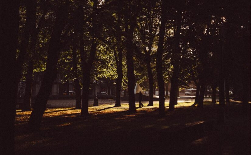 A natus accusantium tempora sit quidem consequatur