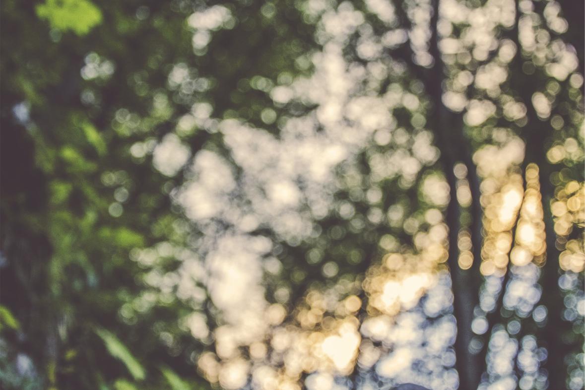 Excepturi expedita eos impedit magni sed laborum magnam