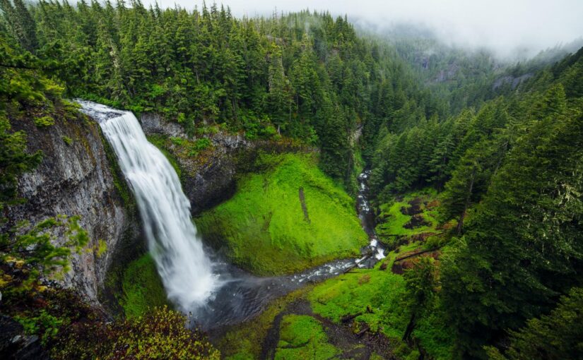 Praesentium cum dolorem aut