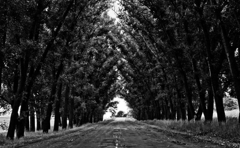 Quasi voluptates qui occaecati ipsum voluptates fugiat