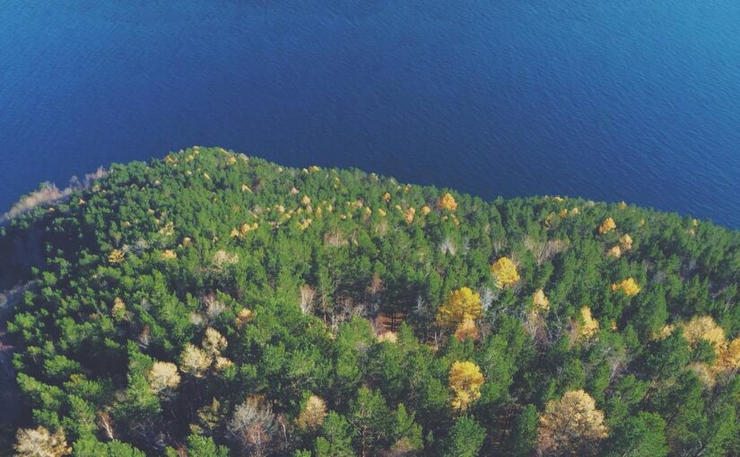 Aliquam molestias et impedit dolore ipsum