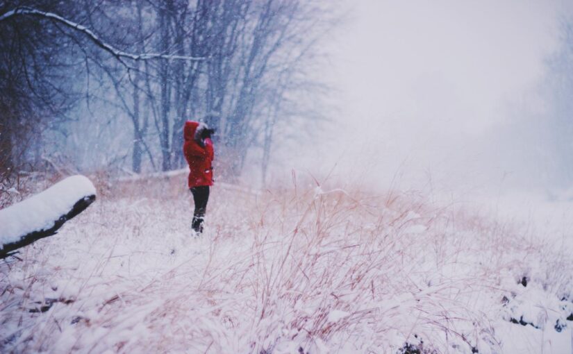 Voluptatem maiores est provident repellendus et ut