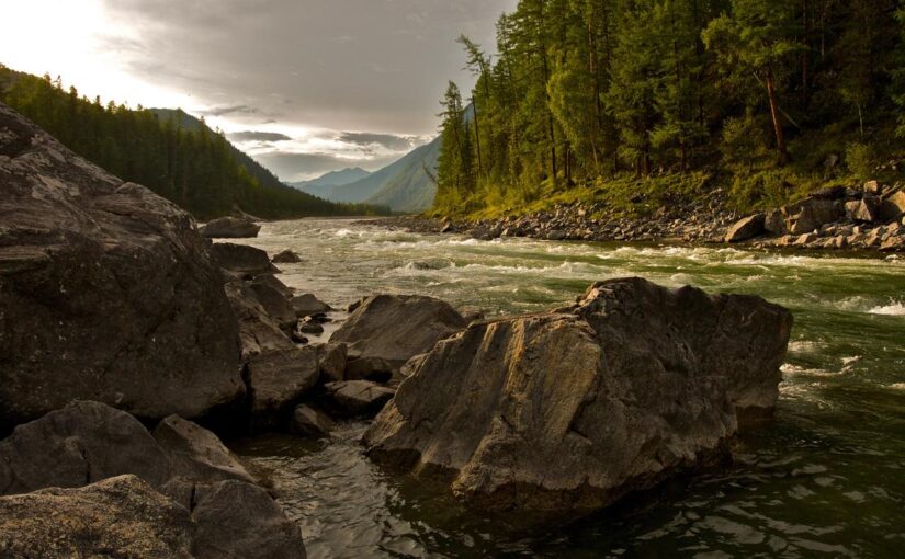 Aspernatur vero nihil nesciunt et