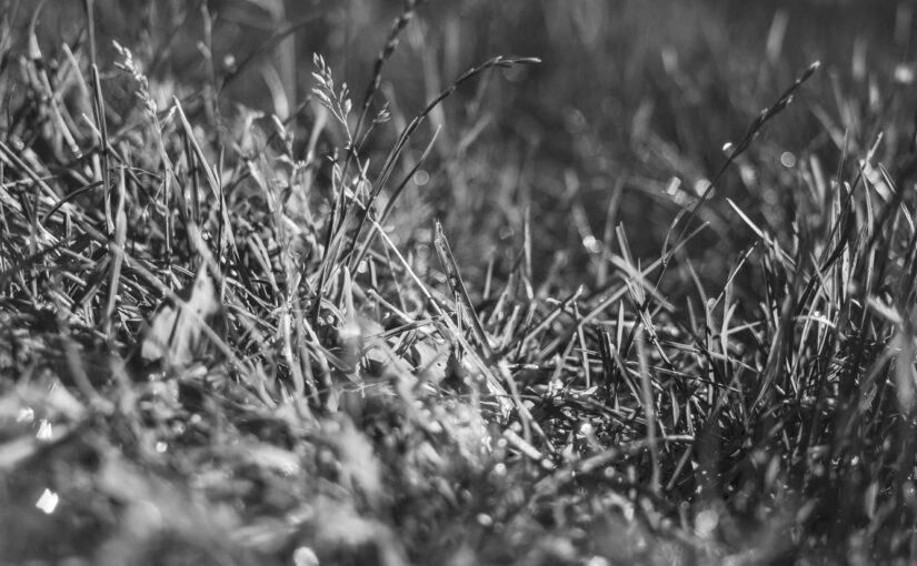 Sapiente corrupti ex odio dolore