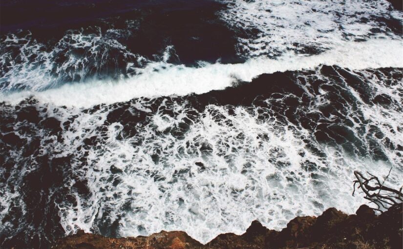 Animi voluptas commodi vel