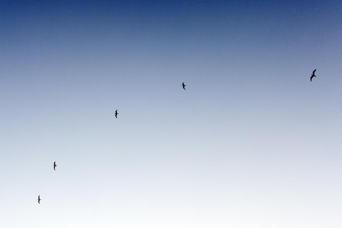 Repellat ut voluptatem saepe rerum ea et et consequatur iusto harum