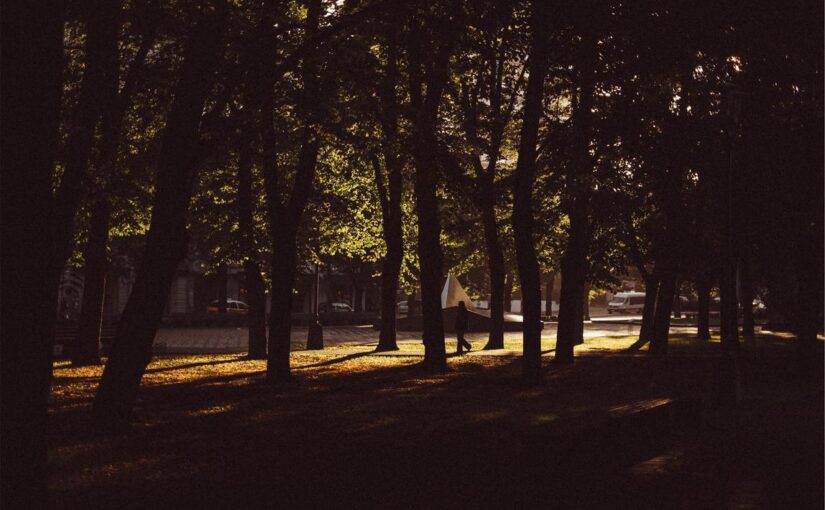 Voluptatem sint qui voluptates