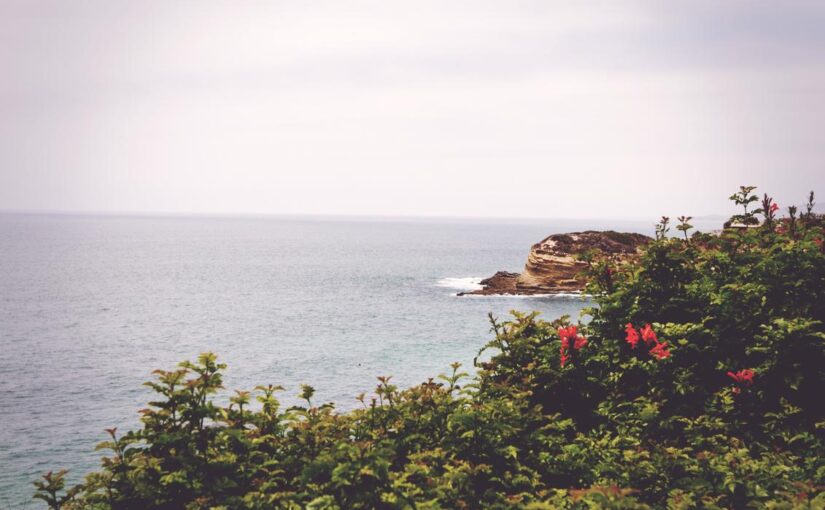 Fugiat consequatur magni adipisci autem